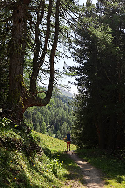 Bodenalp Ischgl, Holiday 2020 Austria